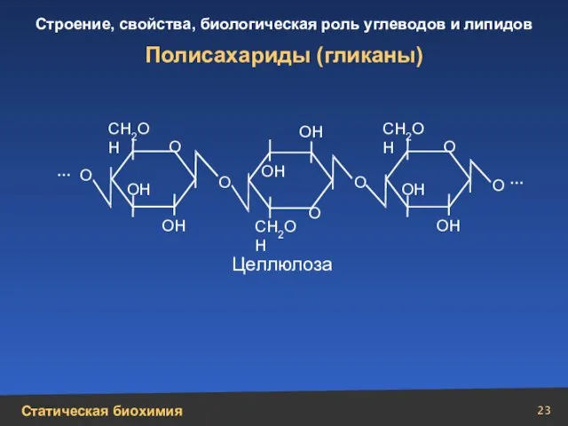 Полисахариды (гликаны) СН2ОН СН2ОН СН2ОН О О О О ОН ОН ОН
