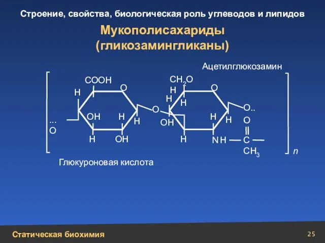 Мукополисахариды (гликозамингликаны) Н Н Н Н Н Н Н N Н Н