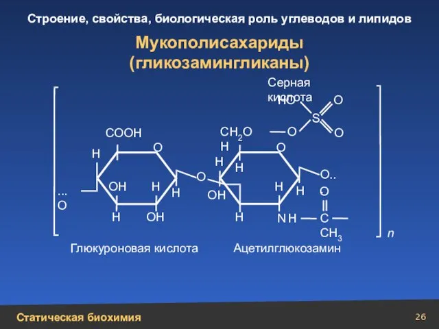 С СН3 Мукополисахариды (гликозамингликаны) Н Н Н Н Н Н Н N