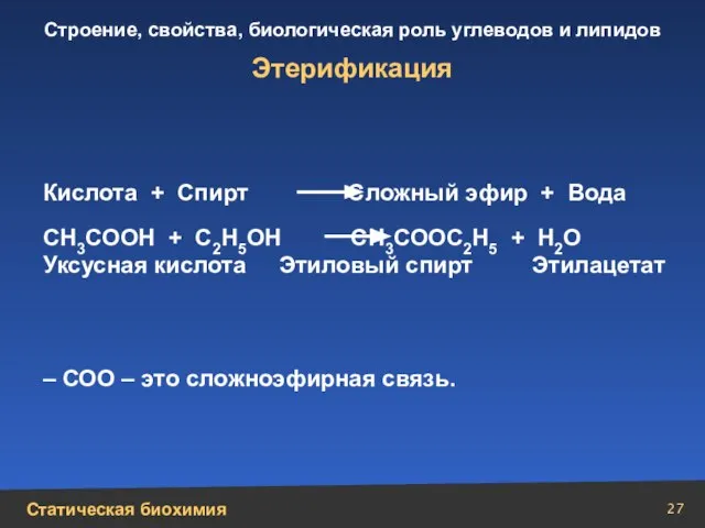 СН3СООН + С2Н5ОН СН3СООС2Н5 + Н2О Уксусная кислота Этиловый спирт Этилацетат –