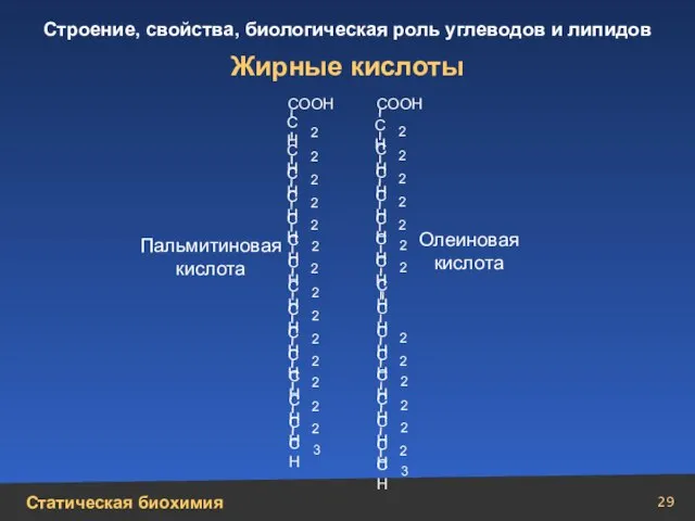 Жирные кислоты СН 2 СН 2 СН 2 СН 2 СН 2