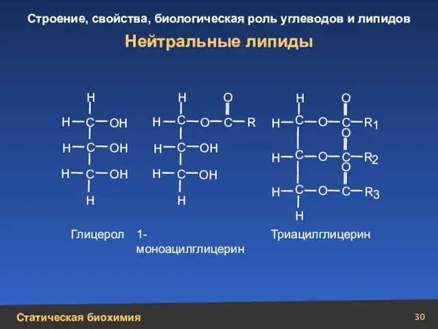 Нейтральные липиды Н Н Н Н Н Н Н Н Н Н