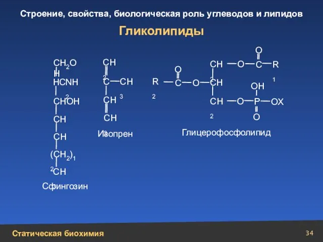 Гликолипиды ОН О О X О О О О О СН2ОН СНОН