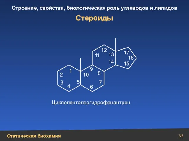 Стероиды Циклопентапергидрофенантрен 1 2 3 4 5 10 9 6 7 8