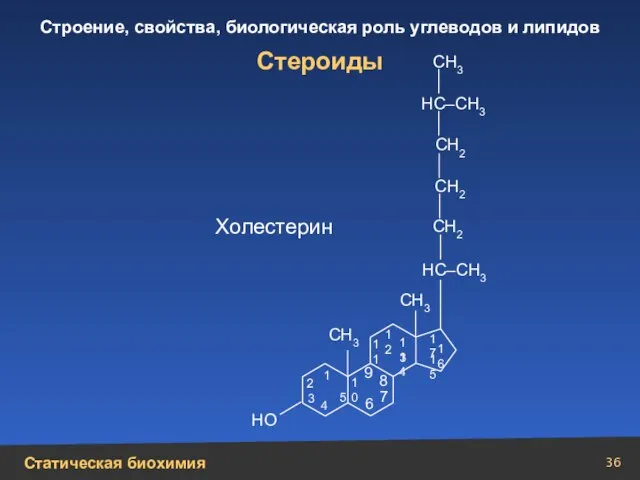 Стероиды Холестерин 1 2 3 4 5 10 9 6 7 8