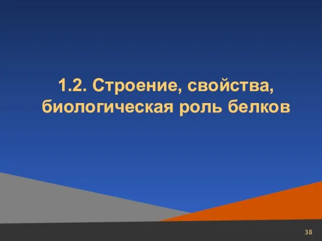 1.2. Строение, свойства, биологическая роль белков