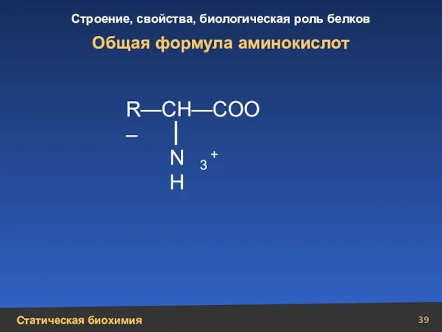 Общая формула аминокислот R—CH—COO– NH 3 +