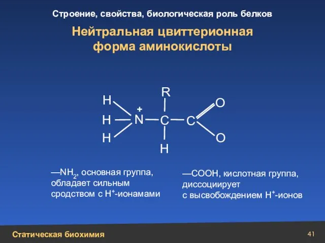 Н Н N Н Н + О О С С R Нейтральная