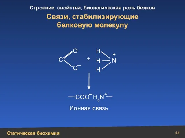 Связи, стабилизирующие белковую молекулу Н Н N Н + + О О