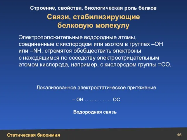 Связи, стабилизирующие белковую молекулу Водородная связь Локализованное электростатическое притяжение – ОН .