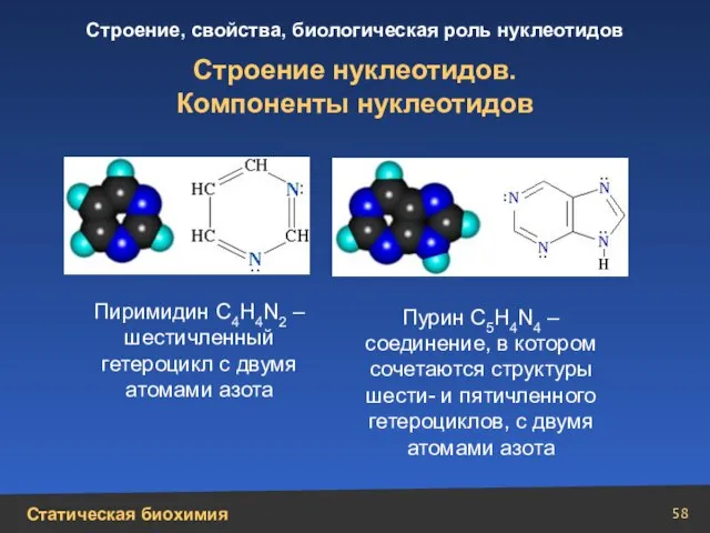 Строение нуклеотидов. Компоненты нуклеотидов Пиримидин С4Н4N2 – шестичленный гетероцикл с двумя атомами