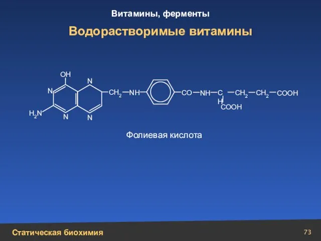 Водорастворимые витамины N N N N СН2 СН СН2 СН2 СО СООН