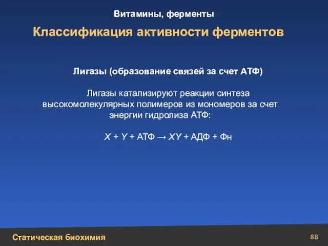 Классификация активности ферментов Лигазы (образование связей за счет АТФ) Лигазы катализируют реакции