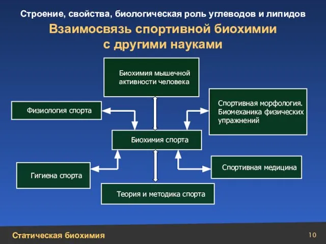 Биохимия спорта Биохимия мышечной активности человека Теория и методика спорта Физиология спорта