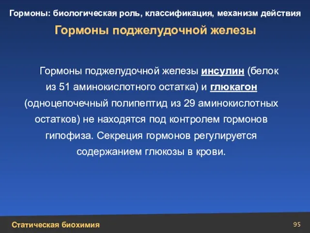 Гормоны поджелудочной железы Гормоны поджелудочной железы инсулин (белок из 51 аминокислотного остатка)