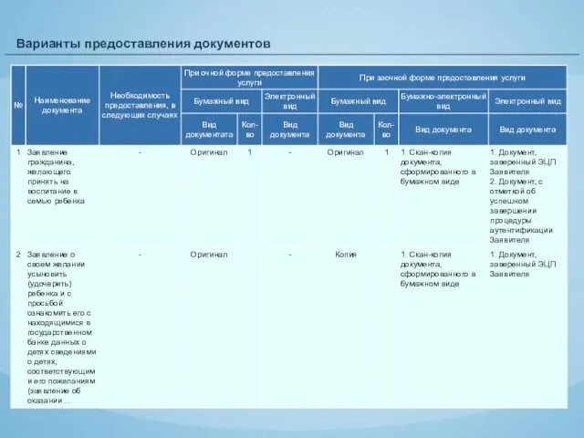 Варианты предоставления документов