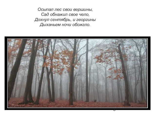 Осыпал лес свои вершины, Сад обнажил свое чело, Дохнул сентябрь, и георгины Дыханьем ночи обожгло.