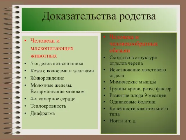 Доказательства родства Человека и млекопитающих животных 5 отделов позвоночника Кожа с волосами