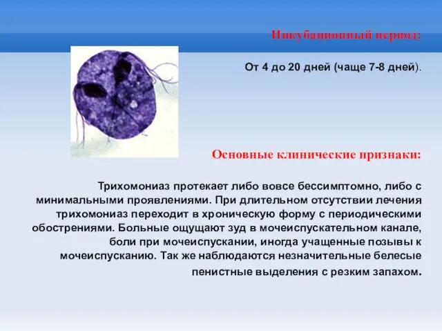 Инкубационный период: От 4 до 20 дней (чаще 7-8 дней). Основные клинические