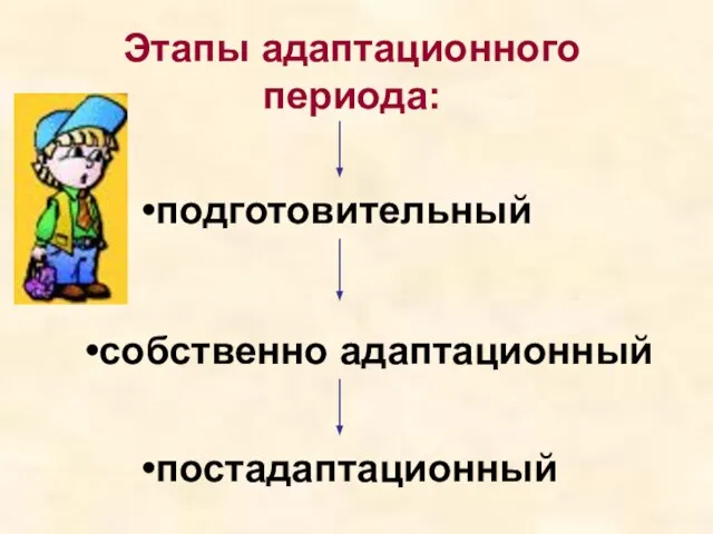 Этапы адаптационного периода: подготовительный собственно адаптационный постадаптационный