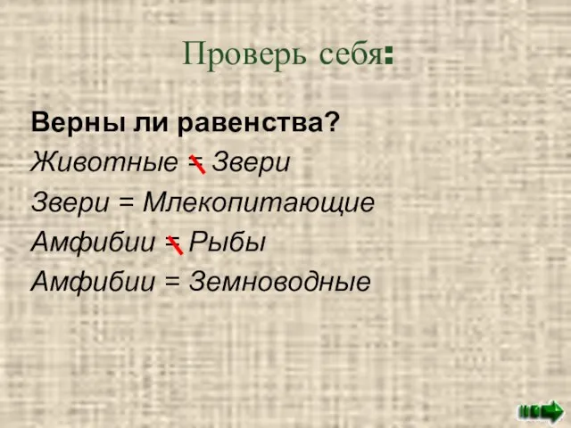 Проверь себя: Верны ли равенства? Животные = Звери Звери = Млекопитающие Амфибии