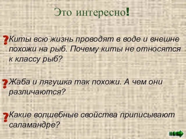 Это интересно! Киты всю жизнь проводят в воде и внешне похожи на