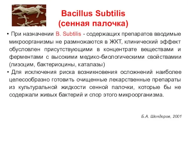 Bacillus Subtilis (сенная палочка) При назначении B. Subtilis - содержащих препаратов вводимые