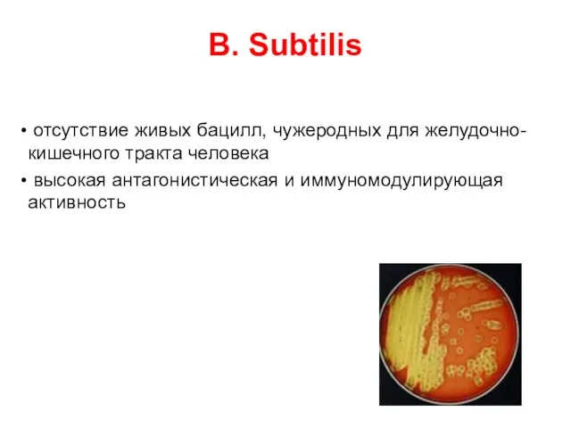 B. Subtilis отсутствие живых бацилл, чужеродных для желудочно-кишечного тракта человека высокая антагонистическая и иммуномодулирующая активность