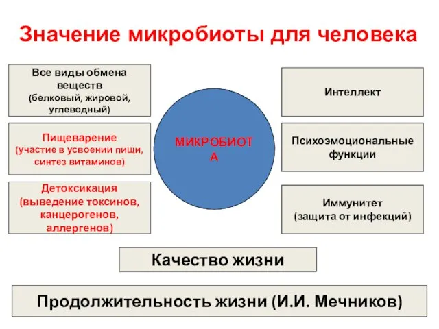 Значение микробиоты для человека МИКРОБИОТА Пищеварение (участие в усвоении пищи, синтез витаминов)