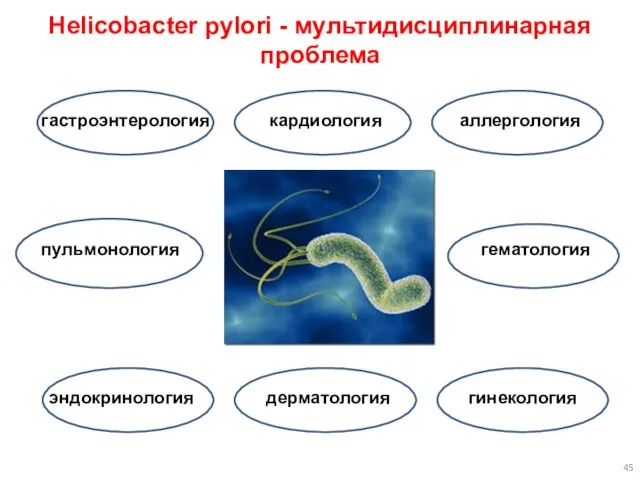 Helicobacter pylori - мультидисциплинарная проблема гастроэнтерология кардиология аллергология пульмонология гематология эндокринология дерматология гинекология