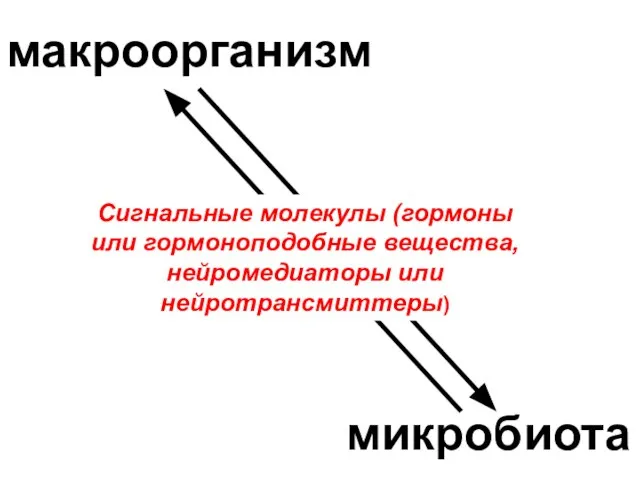 макроорганизм микробиота Сигнальные молекулы (гормоны или гормоноподобные вещества, нейромедиаторы или нейротрансмиттеры)