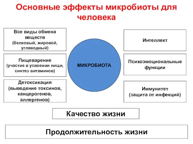 Основные эффекты микробиоты для человека МИКРОБИОТА Пищеварение (участие в усвоении пищи, синтез