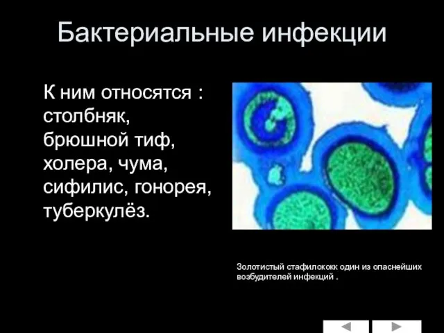 Бактериальные инфекции К ним относятся : столбняк, брюшной тиф, холера, чума, сифилис,