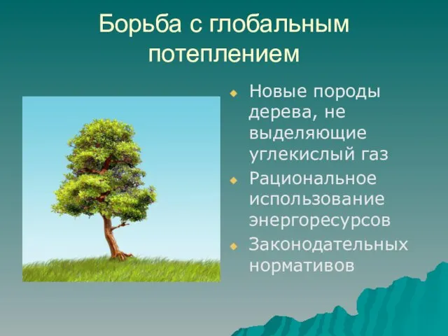 Борьба с глобальным потеплением Новые породы дерева, не выделяющие углекислый газ Рациональное использование энергоресурсов Законодательных нормативов