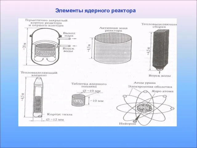 Элементы ядерного реактора