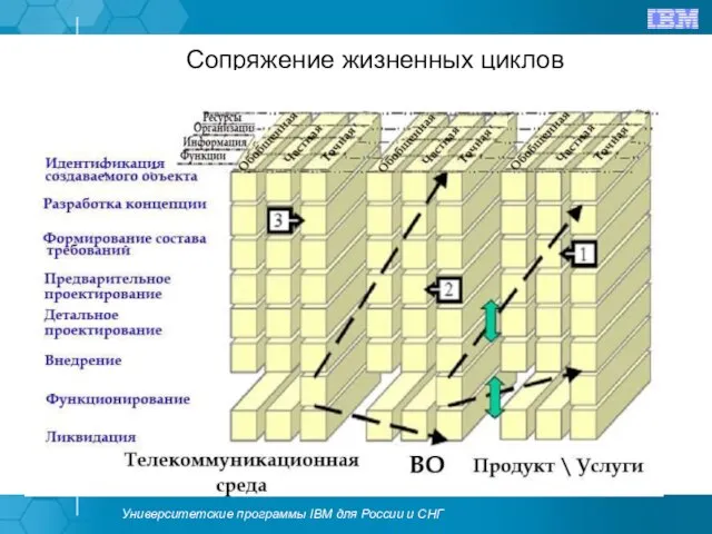 Сопряжение жизненных циклов