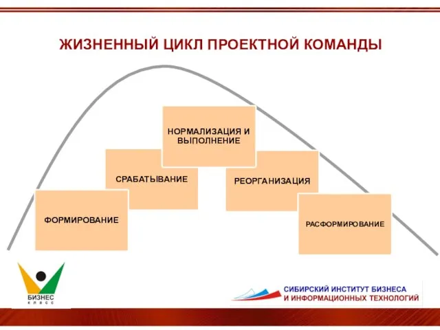 ЖИЗНЕННЫЙ ЦИКЛ ПРОЕКТНОЙ КОМАНДЫ