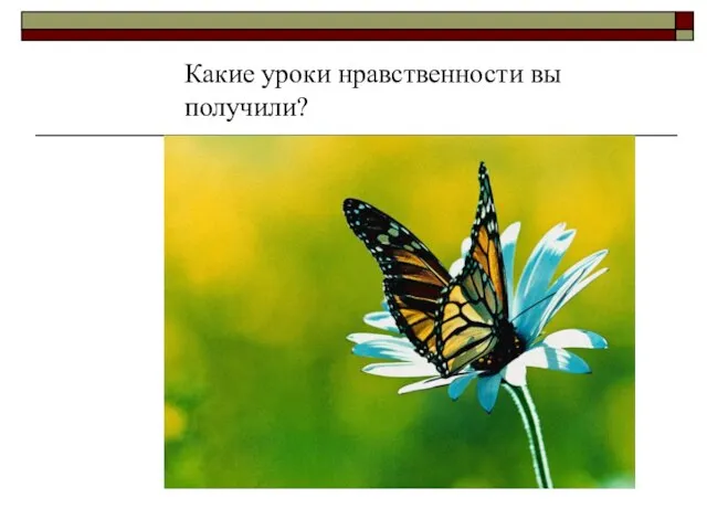 Какие уроки нравственности вы получили?