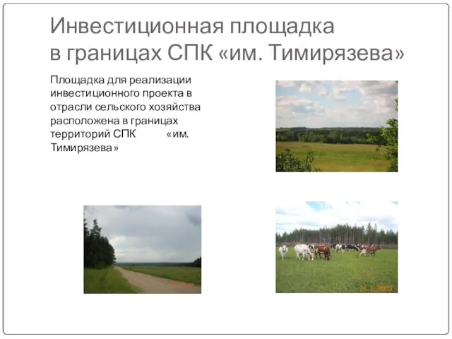 Инвестиционная площадка в границах СПК «им. Тимирязева» Площадка для реализации инвестиционного проекта