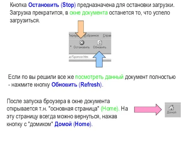 Кнопка Остановить (Stop) предназначена для остановки загрузки. Загрузка прекратится, в окне документа