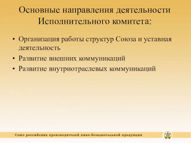 Основные направления деятельности Исполнительного комитета: Организация работы структур Союза и уставная деятельность