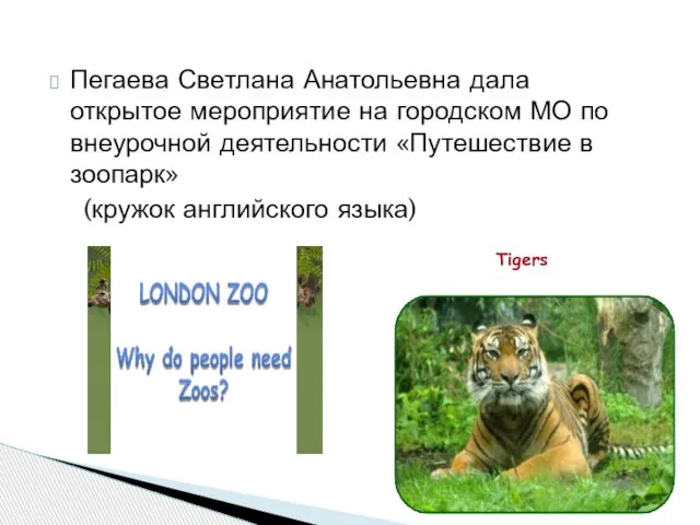 Пегаева Светлана Анатольевна дала открытое мероприятие на городском МО по внеурочной деятельности