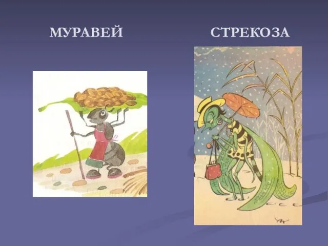 МУРАВЕЙ СТРЕКОЗА