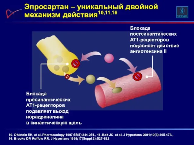 Эпросартан – уникальный двойной механизм действия10,11,16 10. Ohlstein EH, et al. Pharmacology