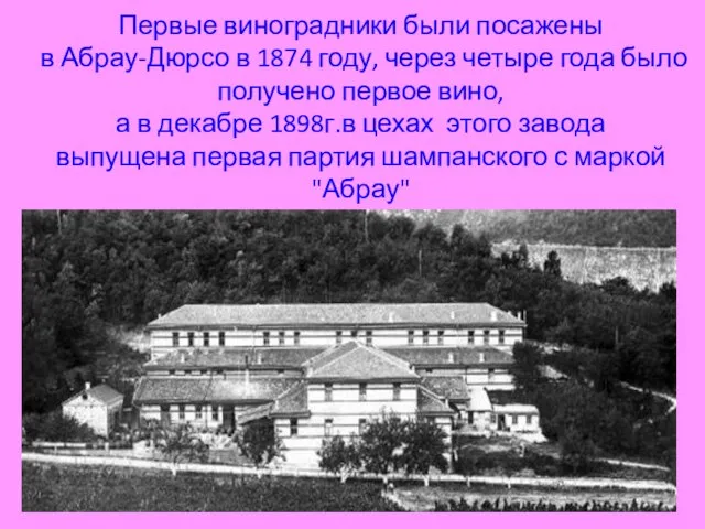 Первые виноградники были посажены в Абрау-Дюрсо в 1874 году, через четыре года