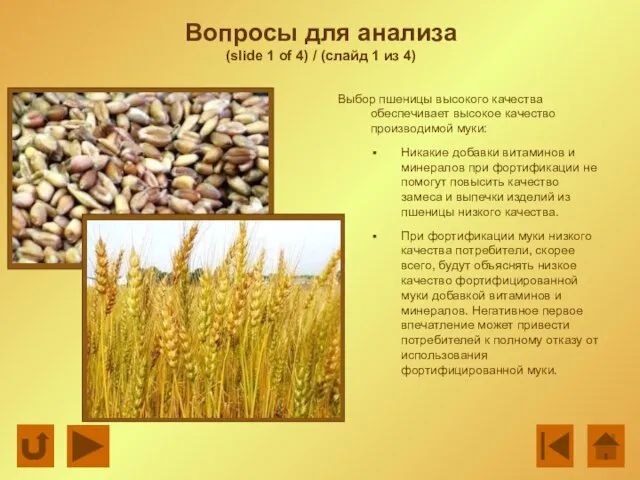 Вопросы для анализа (slide 1 of 4) / (слайд 1 из 4)