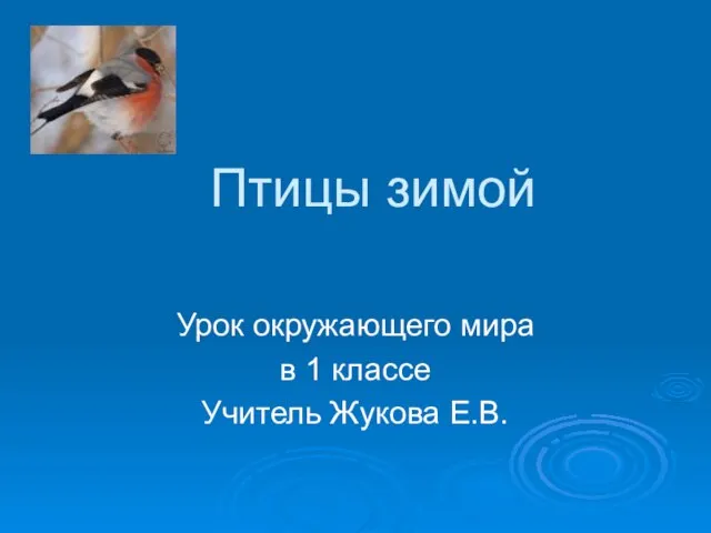 Птицы зимой Урок окружающего мира в 1 классе Учитель Жукова Е.В.