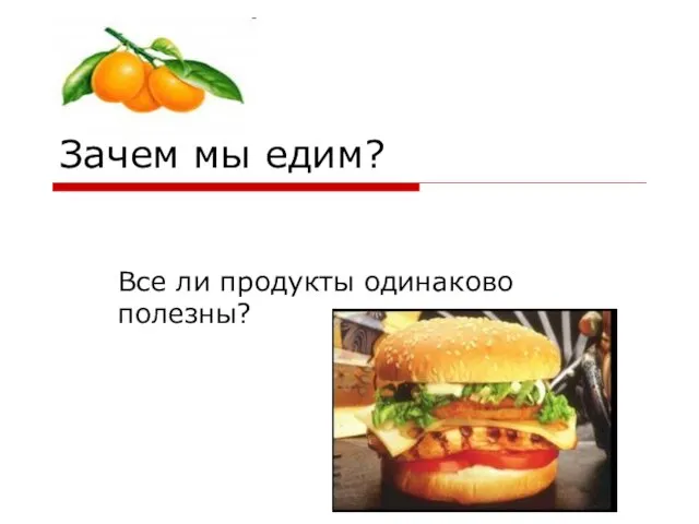 Зачем мы едим? Все ли продукты одинаково полезны?