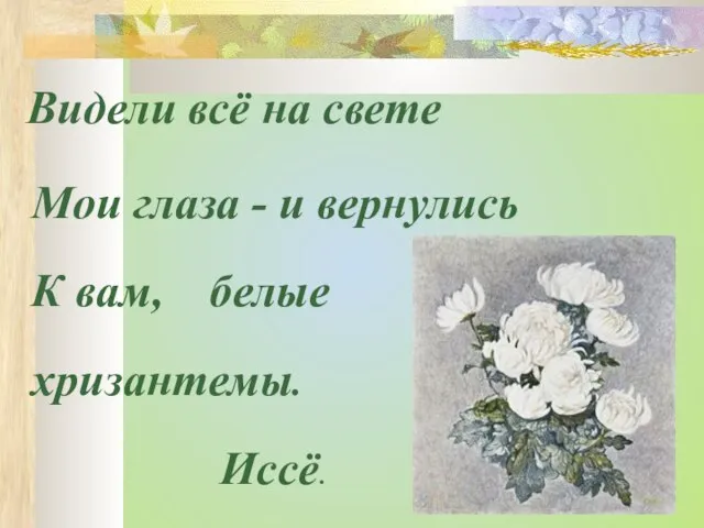 хризантемы. Видели всё на свете Мои глаза - и вернулись К вам, Иссё. белые