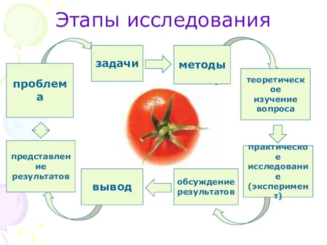 Этапы исследования проблема задачи методы теоретическое изучение вопроса практическое исследование (эксперимент) обсуждение результатов вывод представление результатов